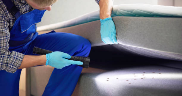 Flea Control Services in Dallas Center, IA